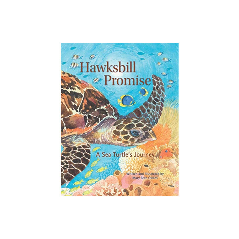 Tilbury House,U.S. Hawksbill Promise (inbunden, eng)