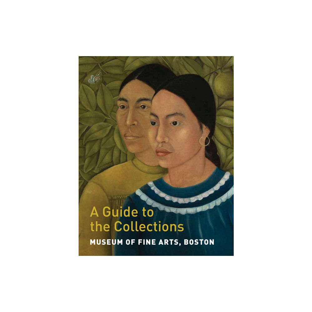 Museum of Fine Arts,Boston Museum of Fine Arts, Boston: A Guide to the Collections (häftad, eng)