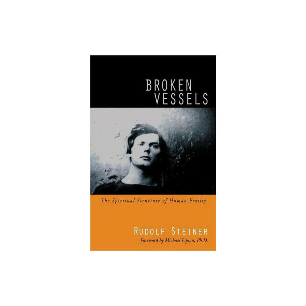 Anthroposophic Press Inc Broken Vessels (häftad, eng)