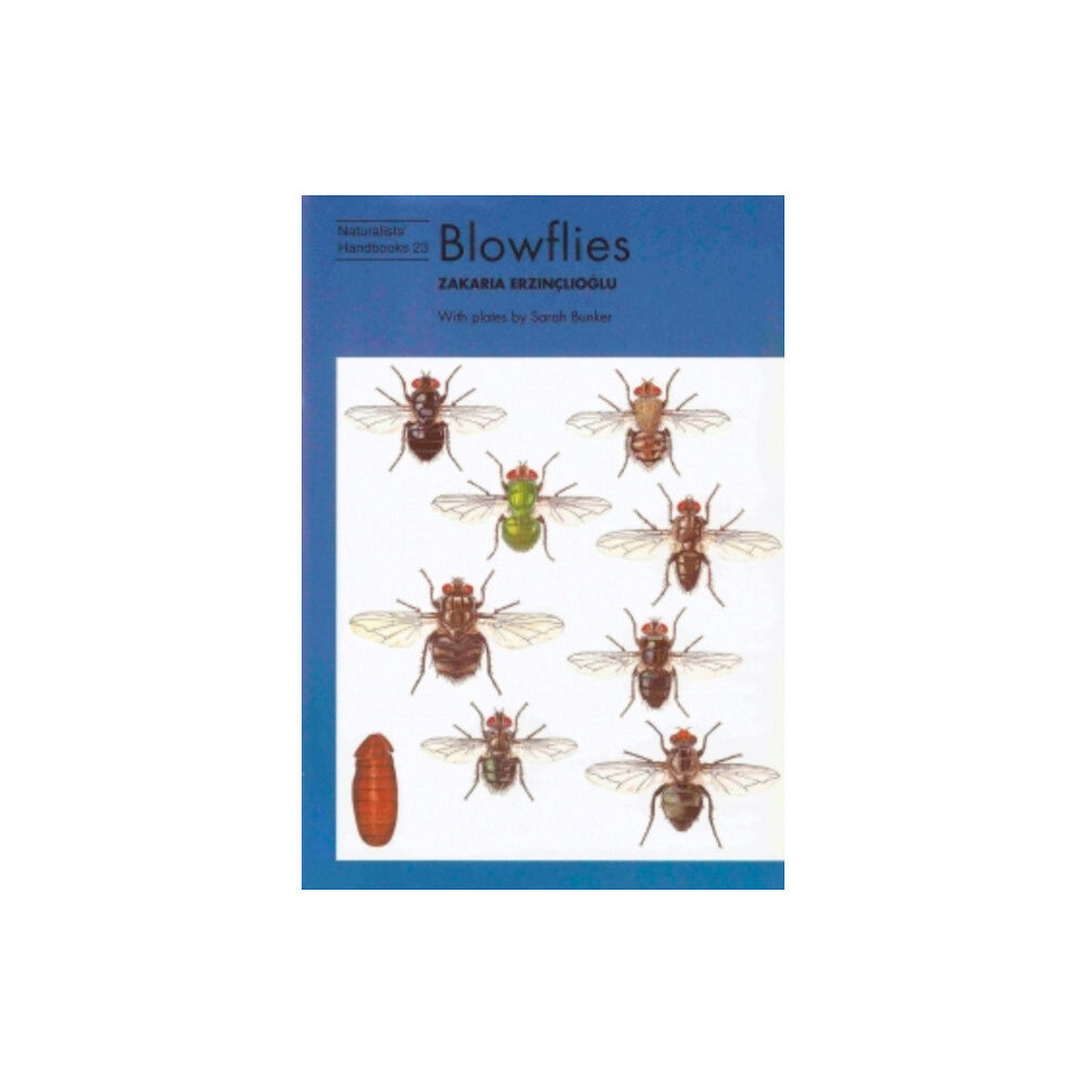 Richmond Publishing Co Ltd Blowflies (häftad, eng)