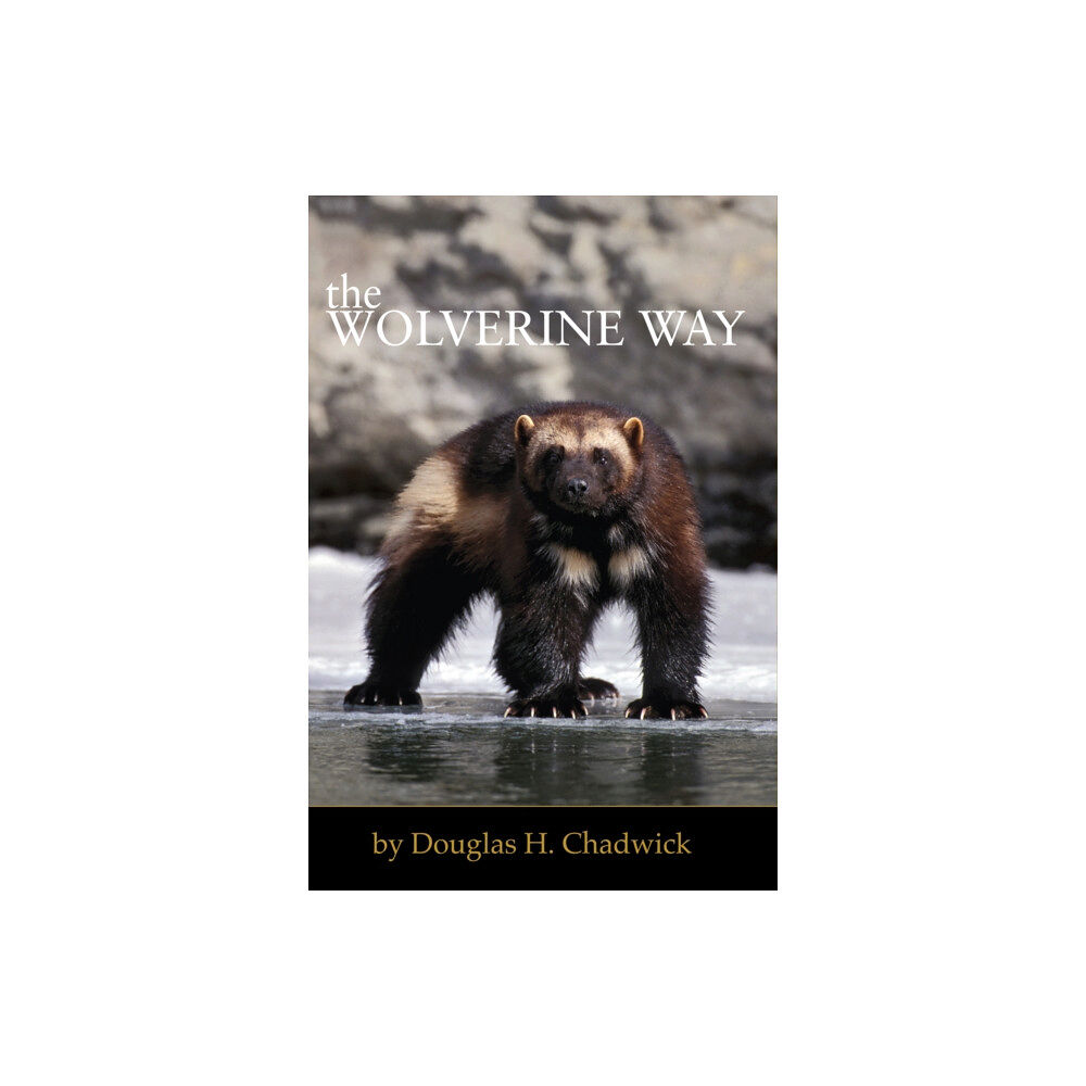 Patagonia Books The Wolverine Way (häftad, eng)