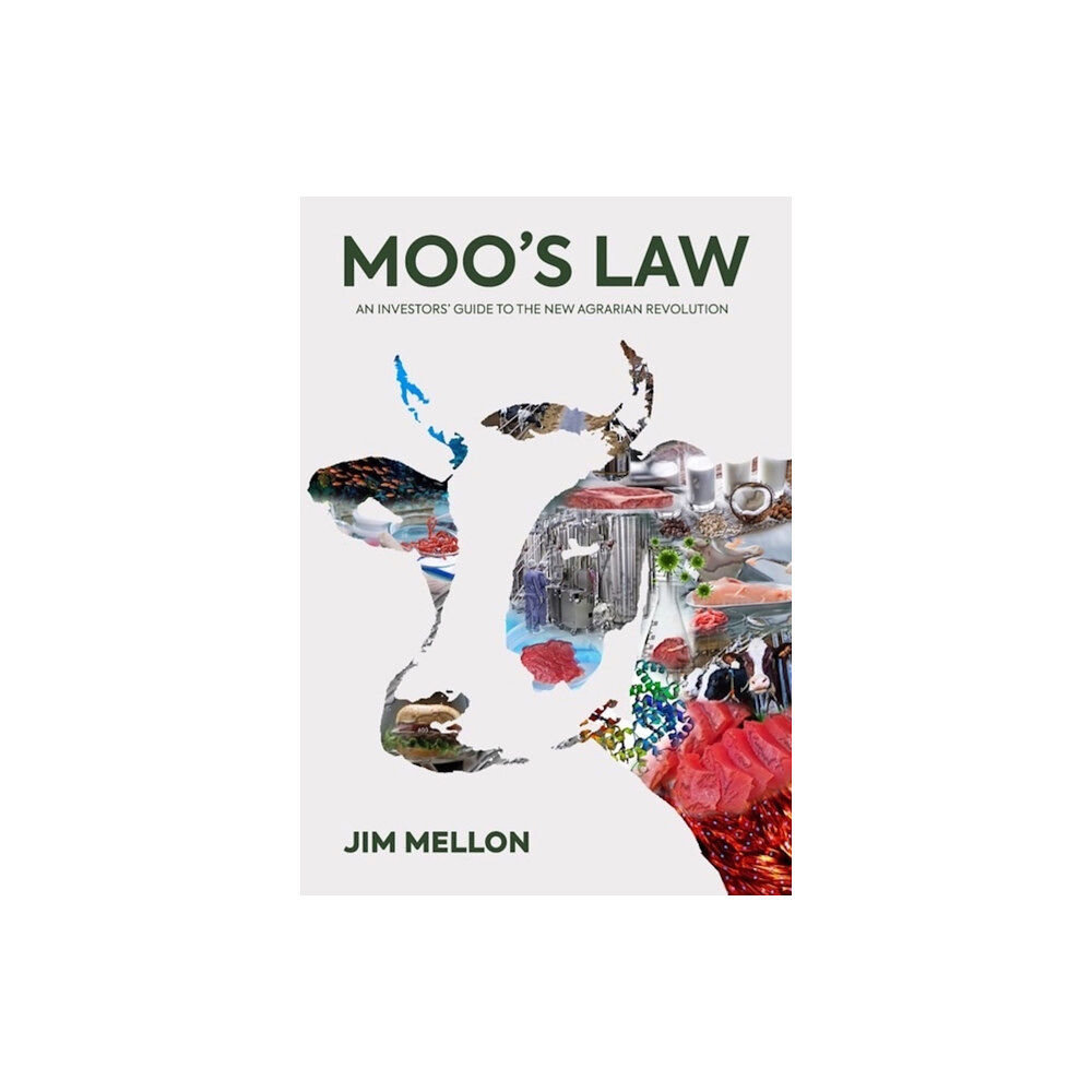 Fruitful Publications Limited Moo's Law (häftad, eng)