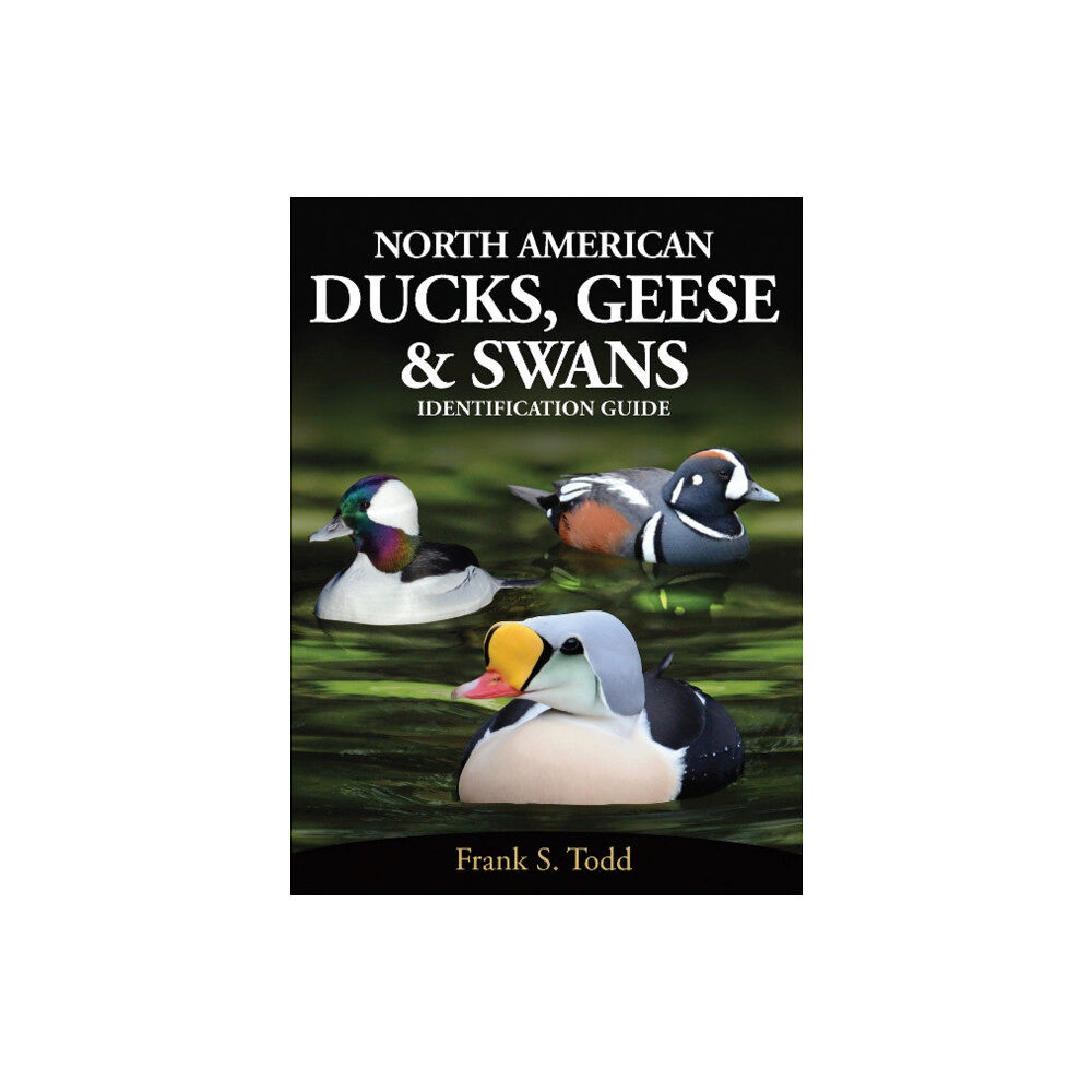 Hancock House Publishers Ltd ,Canada North American Ducks, Geese and Swans (häftad, eng)