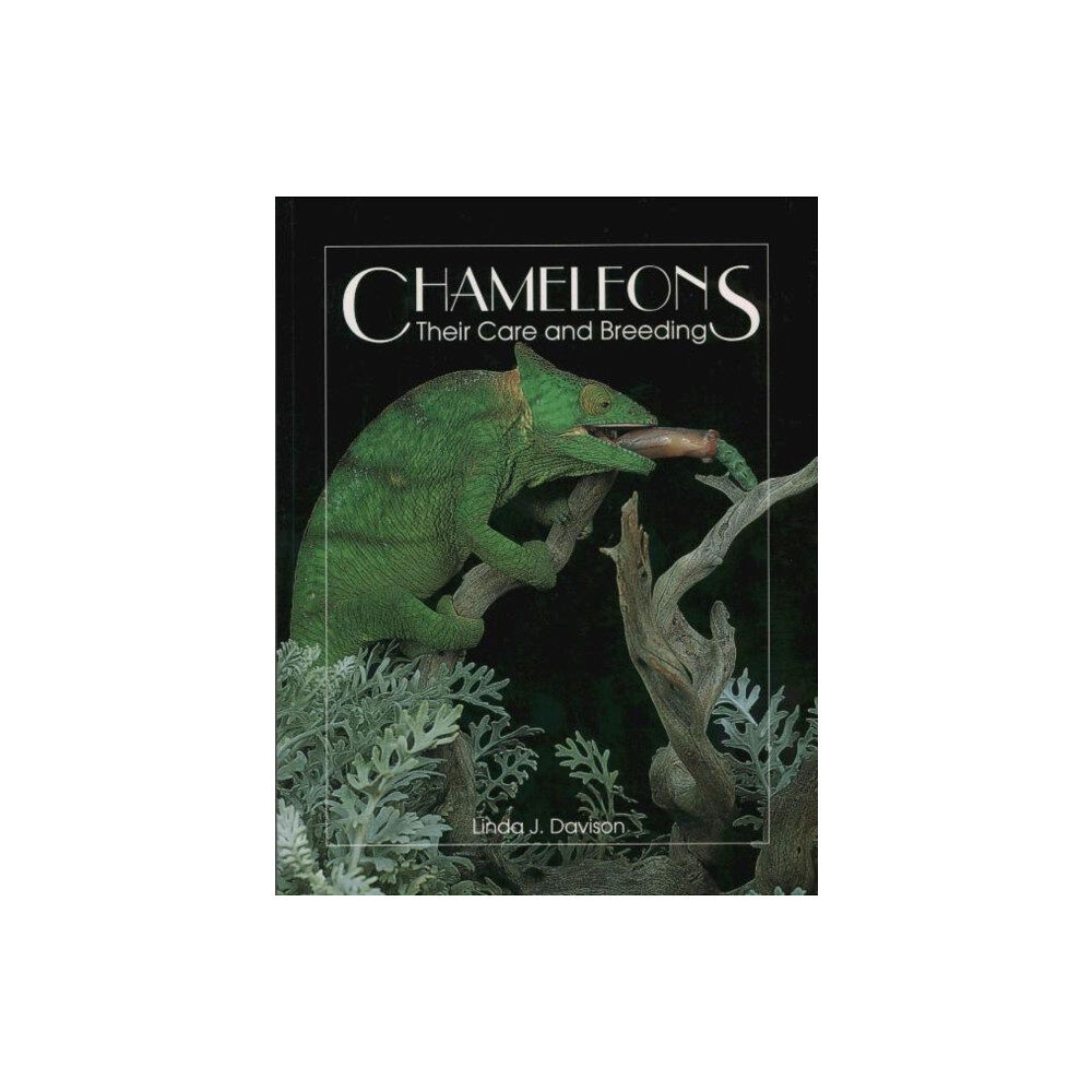 Hancock House Publishers Ltd ,Canada Chameleons (häftad, eng)