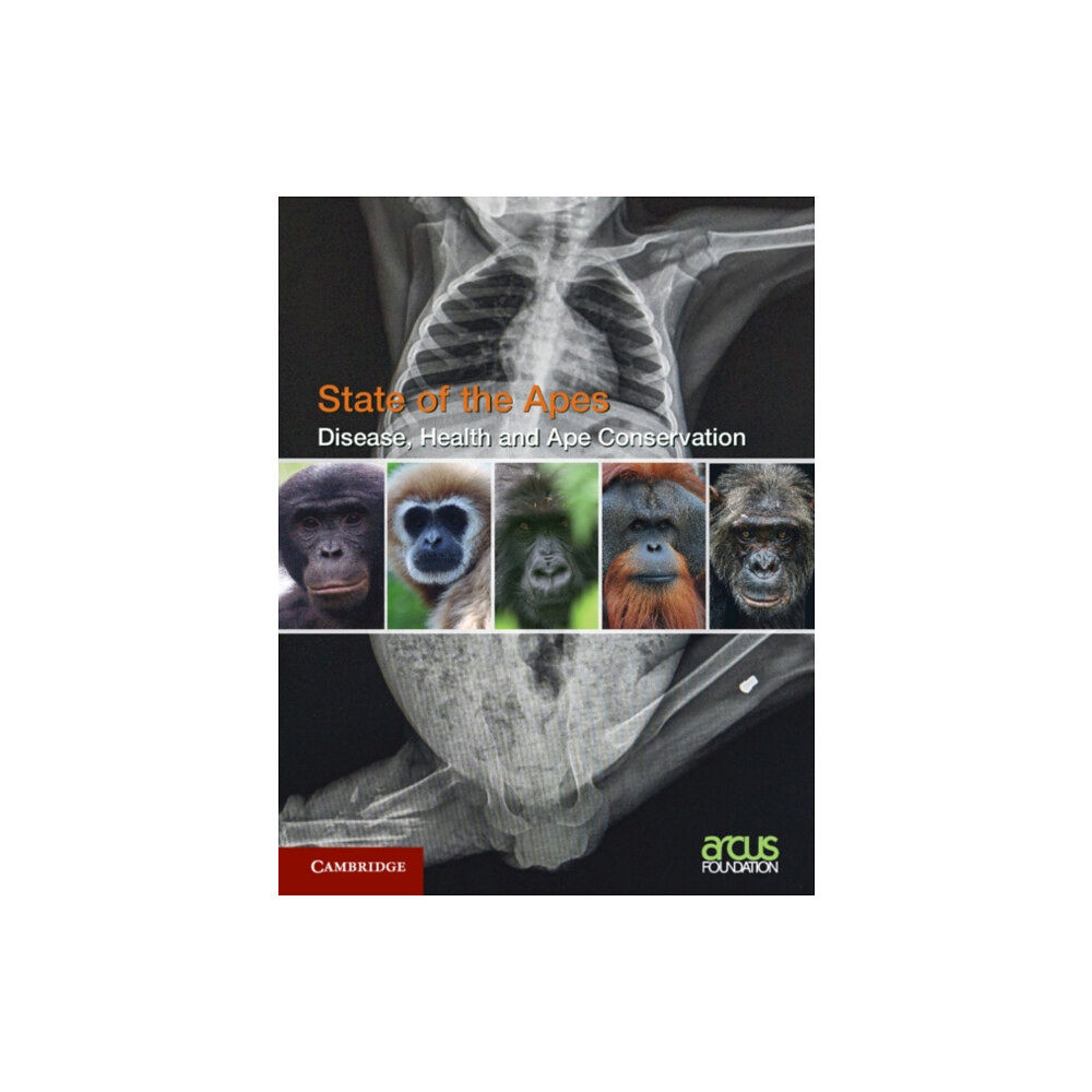 Cambridge University Press Disease, Health and Ape Conservation: Volume 5 (häftad, eng)