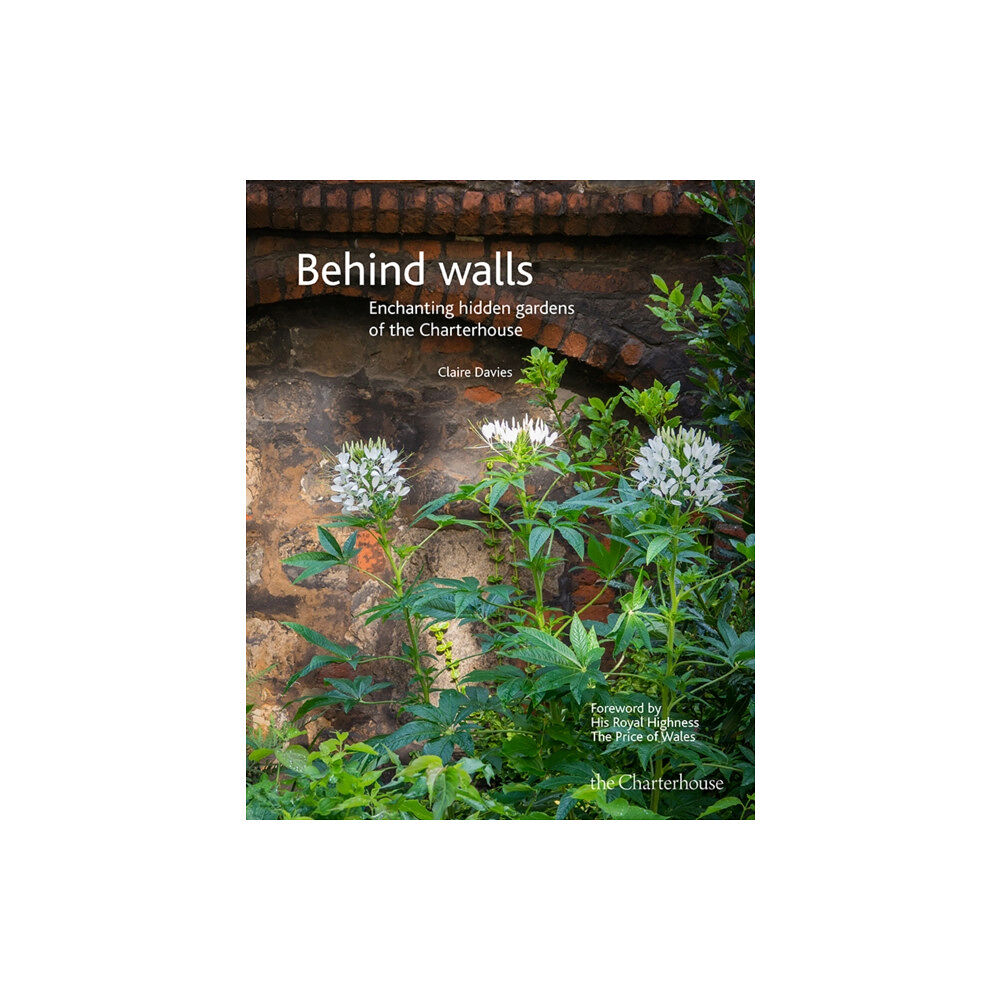 Art and Life (Publications) Behind walls (inbunden, eng)