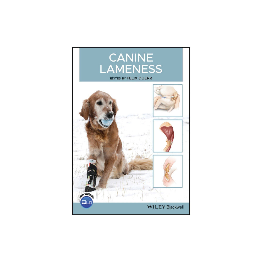 John Wiley And Sons Ltd Canine Lameness (häftad, eng)