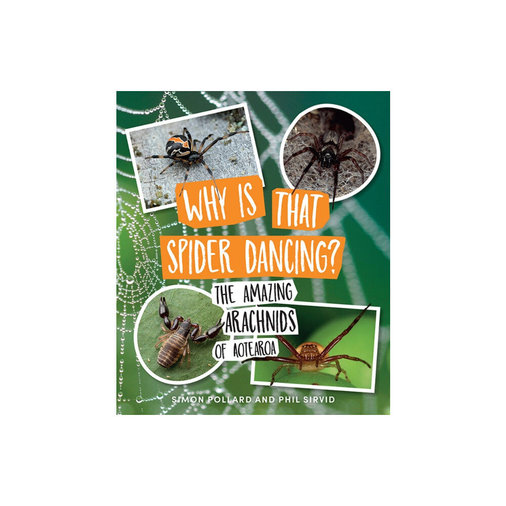 Te Papa Press Why Is That Spider Dancing? (häftad, eng)