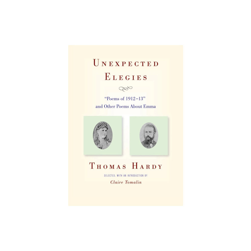 Persea Books Inc Unexpected Elegies (häftad, eng)