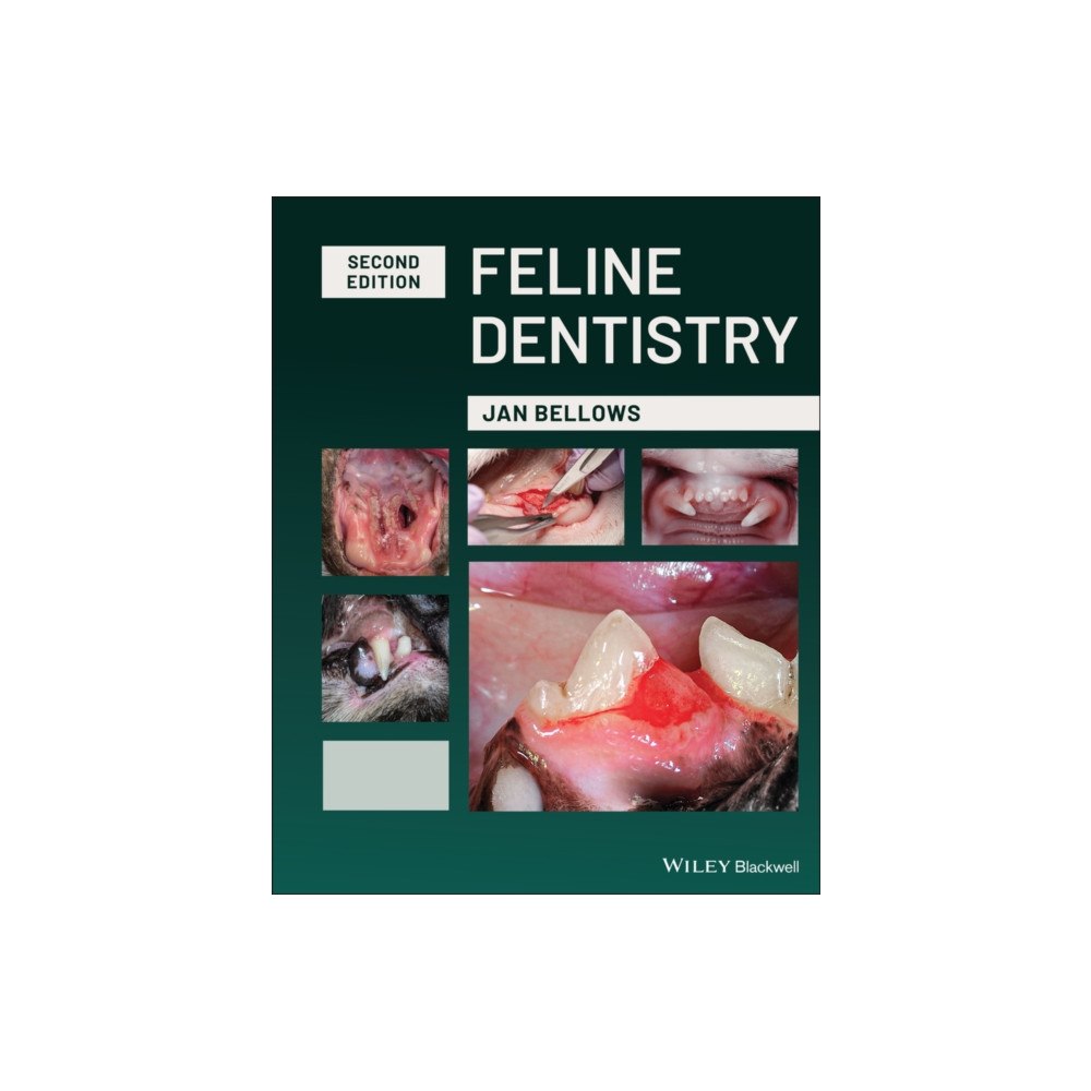 John Wiley And Sons Ltd Feline Dentistry (inbunden, eng)