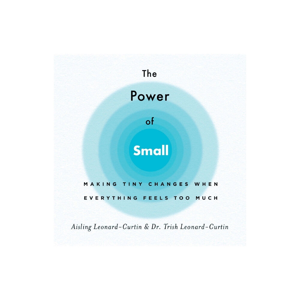 St. Martin's Publishing Group The Power of Small (häftad, eng)