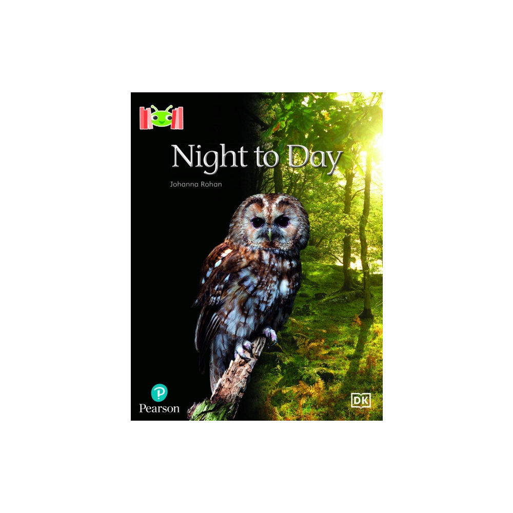 Pearson Education Limited Bug Club Reading Corner: Age 4-5: Night to Day (häftad, eng)