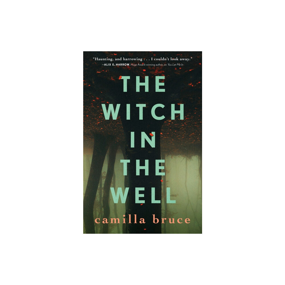 Tor Publishing Group The Witch In The Well (häftad, eng)