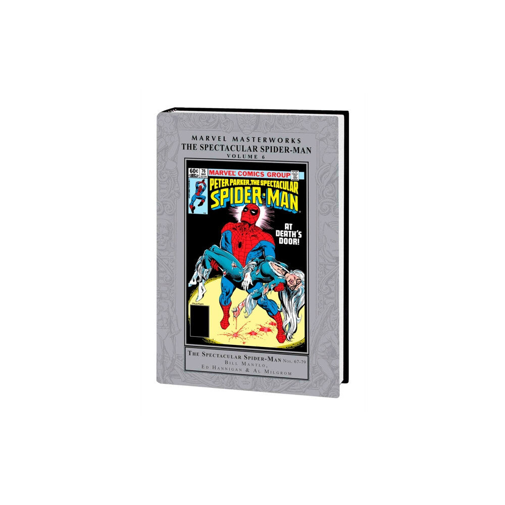 Marvel Comics Marvel Masterworks: The Spectacular Spider-Man Vol. 6 (inbunden, eng)