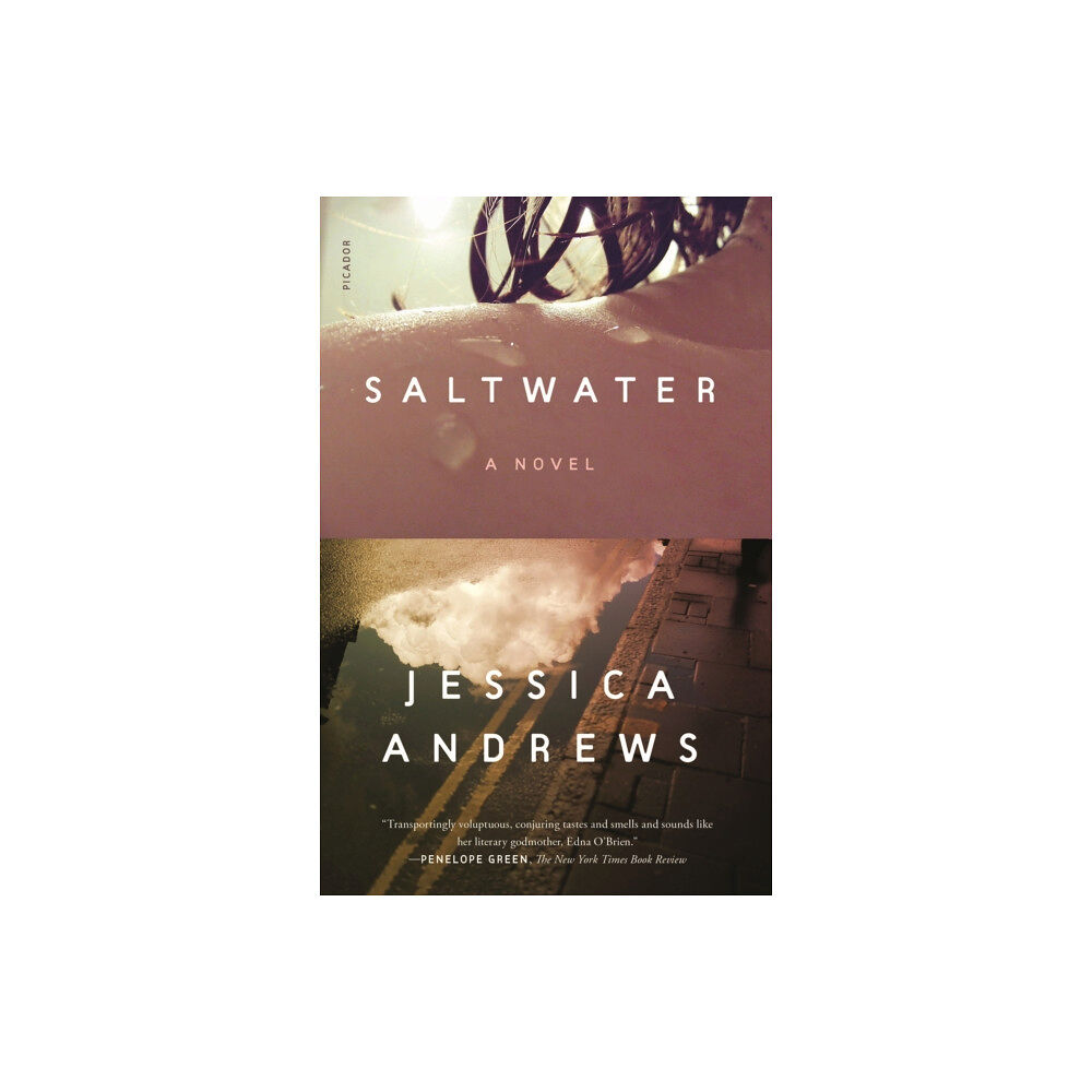 PICADOR Saltwater (häftad, eng)