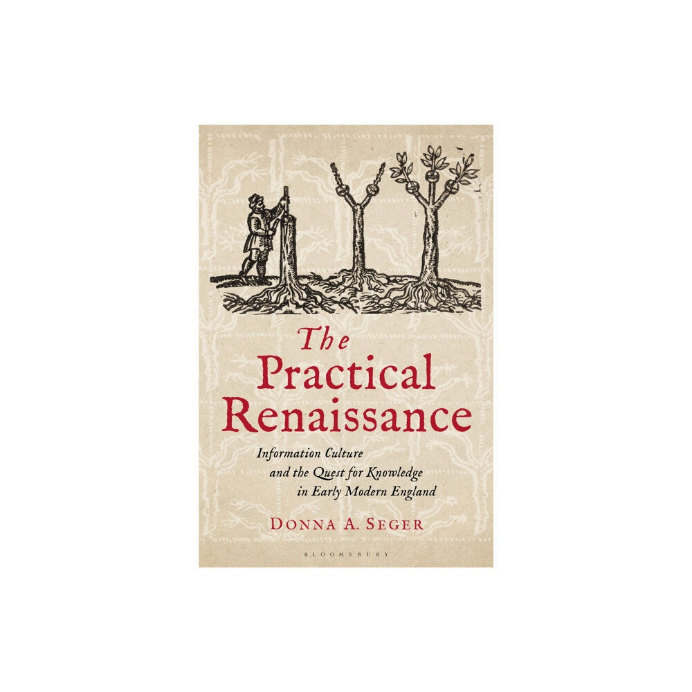 Bloomsbury Publishing PLC The Practical Renaissance (häftad, eng)