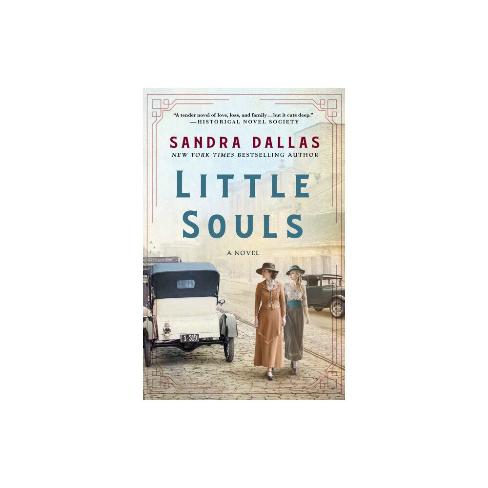 St. Martin's Publishing Group Little Souls (häftad, eng)