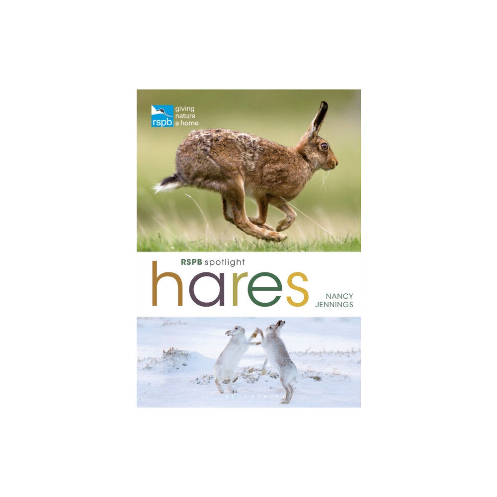 Bloomsbury Publishing PLC RSPB Spotlight Hares (häftad, eng)