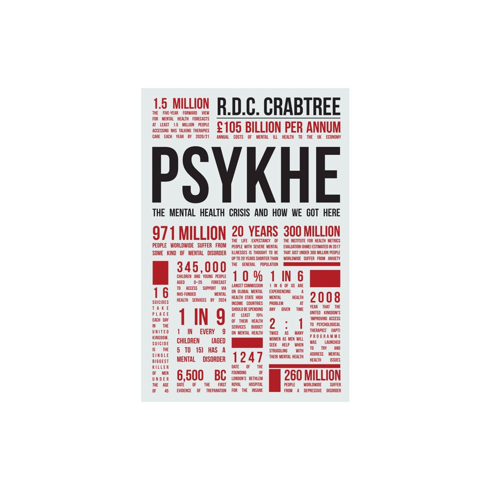 Amberley Publishing Psykhe (häftad, eng)