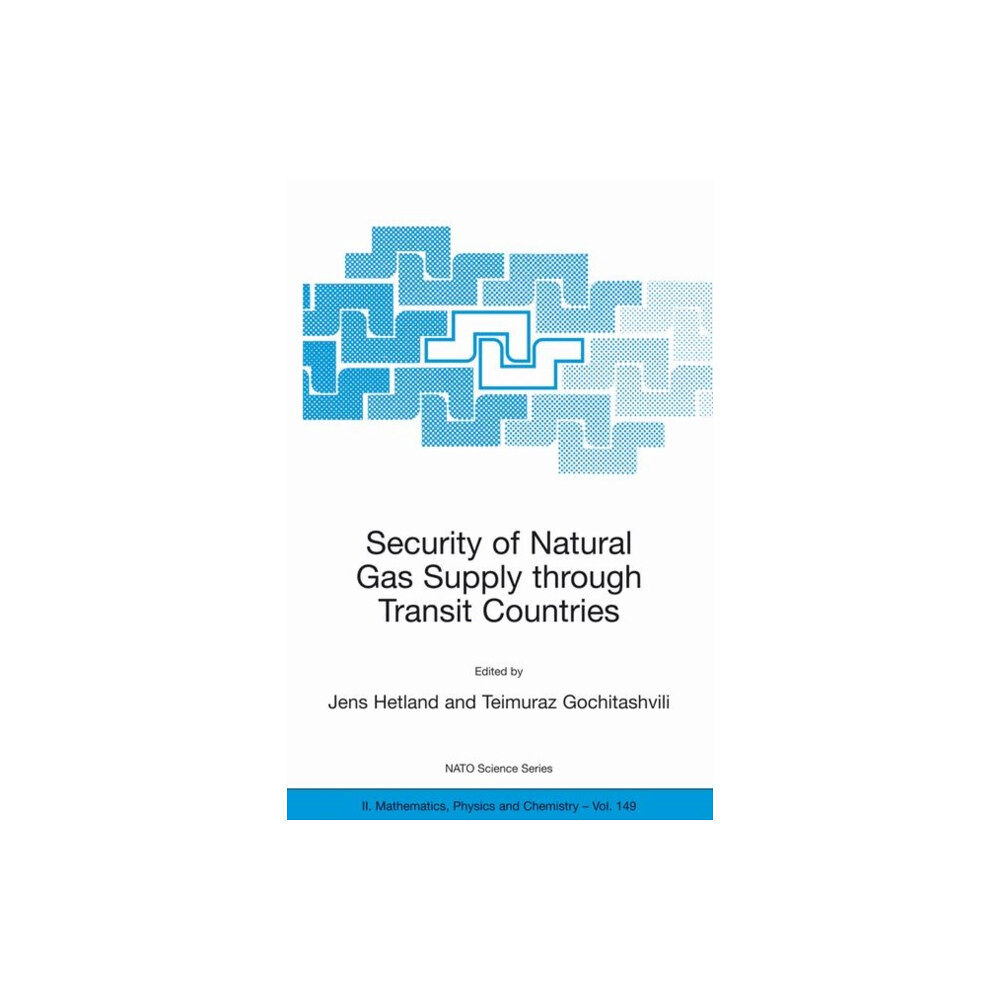 Springer-Verlag New York Inc. Security of Natural Gas Supply through Transit Countries (häftad, eng)