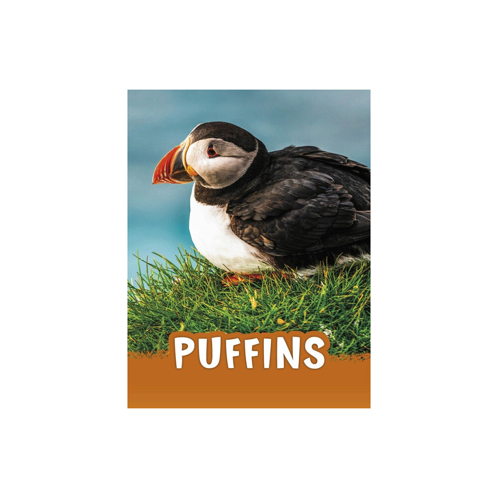 Capstone Global Library Ltd Puffins (häftad, eng)