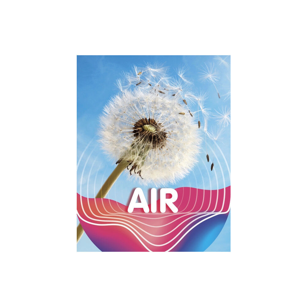 Capstone Global Library Ltd Air (häftad, eng)