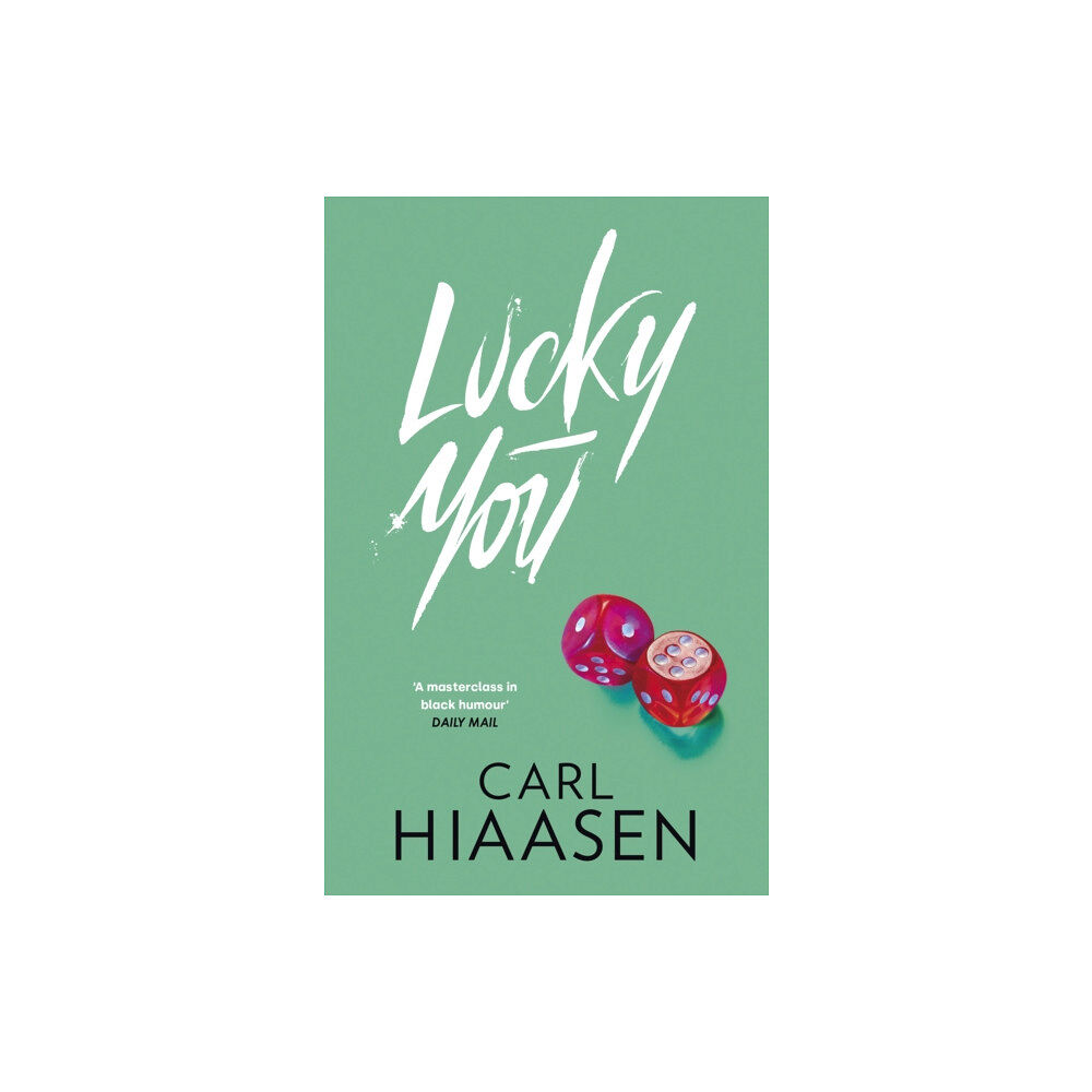 Little, Brown Book Group Lucky You (häftad, eng)