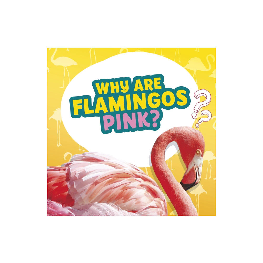 Capstone Global Library Ltd Why Are Flamingos Pink? (inbunden, eng)