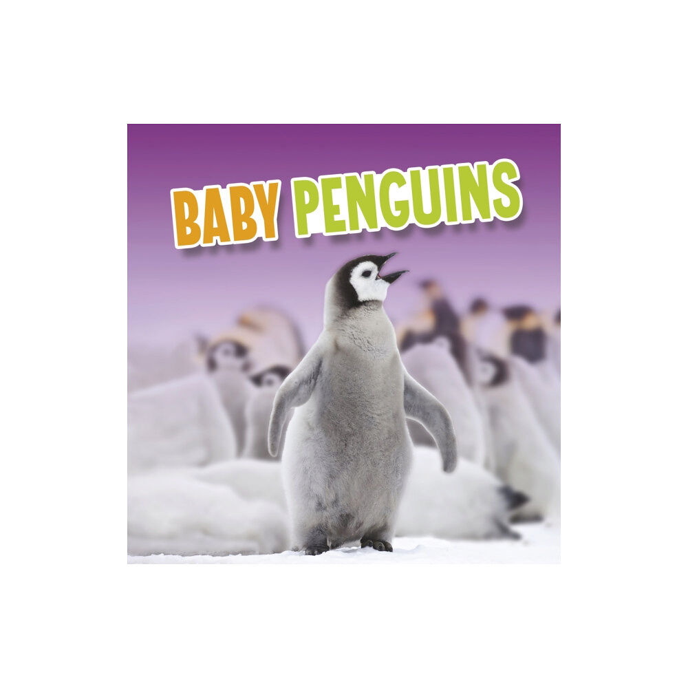 Capstone Global Library Ltd Baby Penguins (häftad, eng)