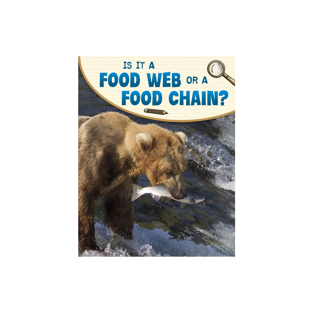 Capstone Global Library Ltd Is It a Food Web or a Food Chain? (häftad, eng)