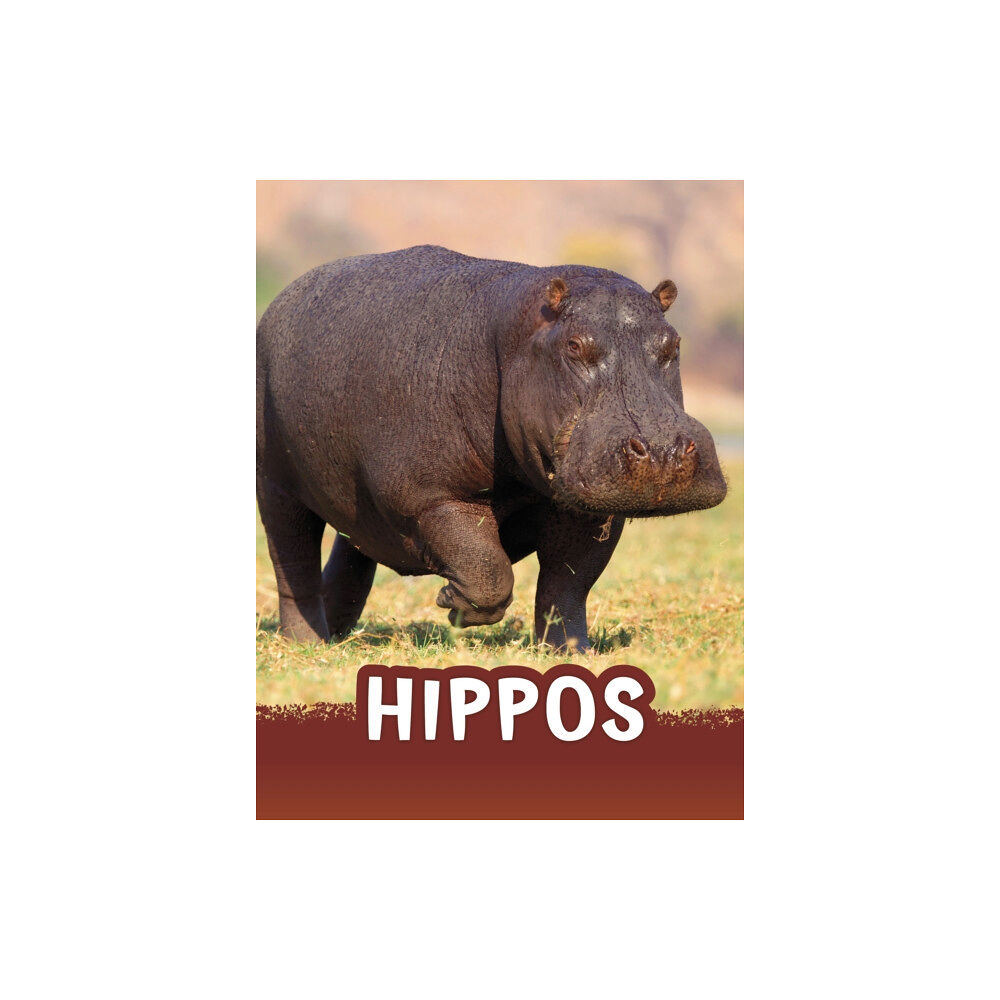 Capstone Global Library Ltd Hippos (inbunden, eng)