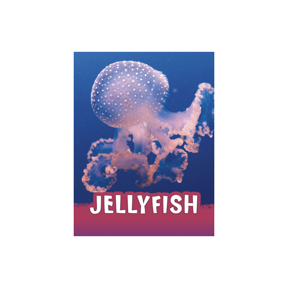 Capstone Global Library Ltd Jellyfish (inbunden, eng)