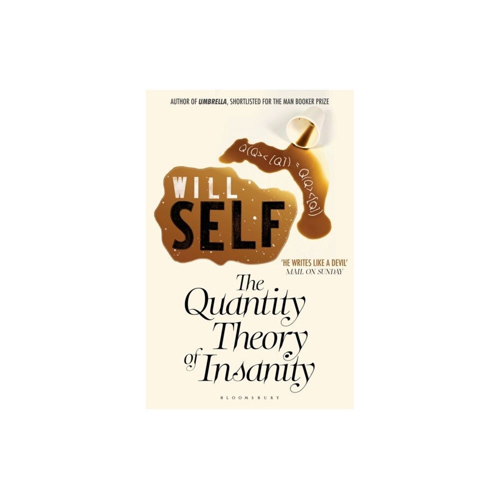 Bloomsbury Publishing PLC The Quantity Theory of Insanity (häftad, eng)