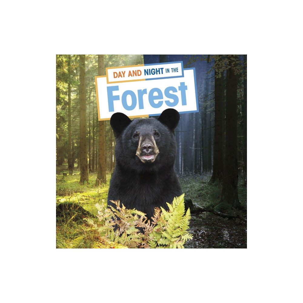 Capstone Global Library Ltd Day and Night in the Forest (inbunden, eng)