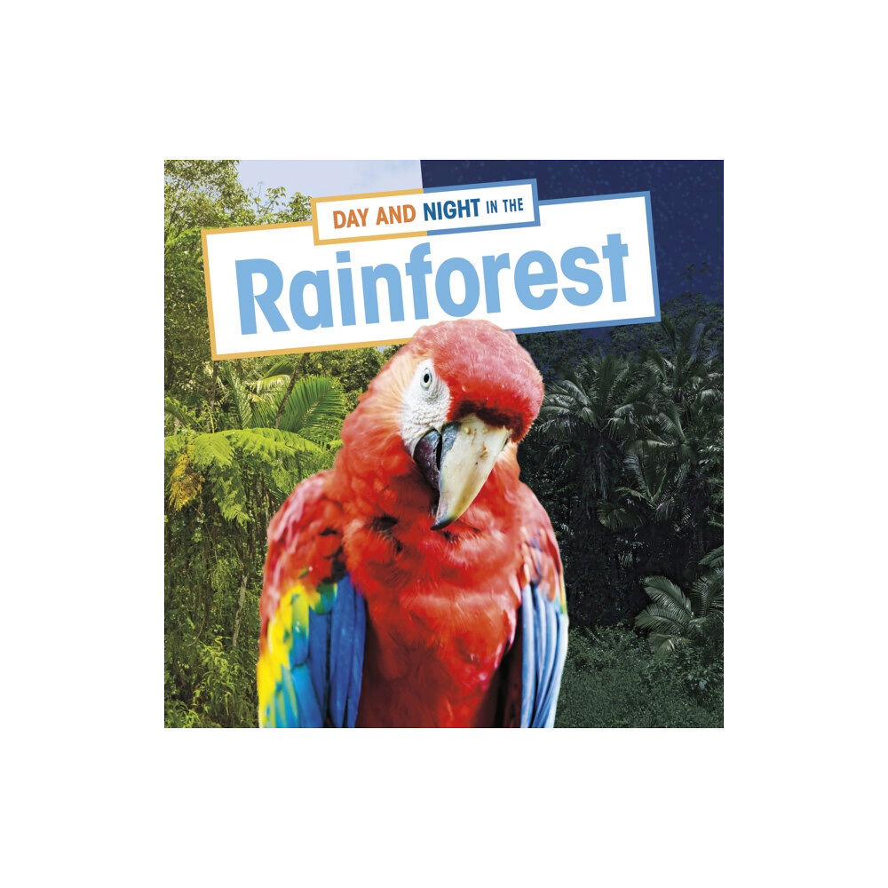 Capstone Global Library Ltd Day and Night in the Rainforest (inbunden, eng)