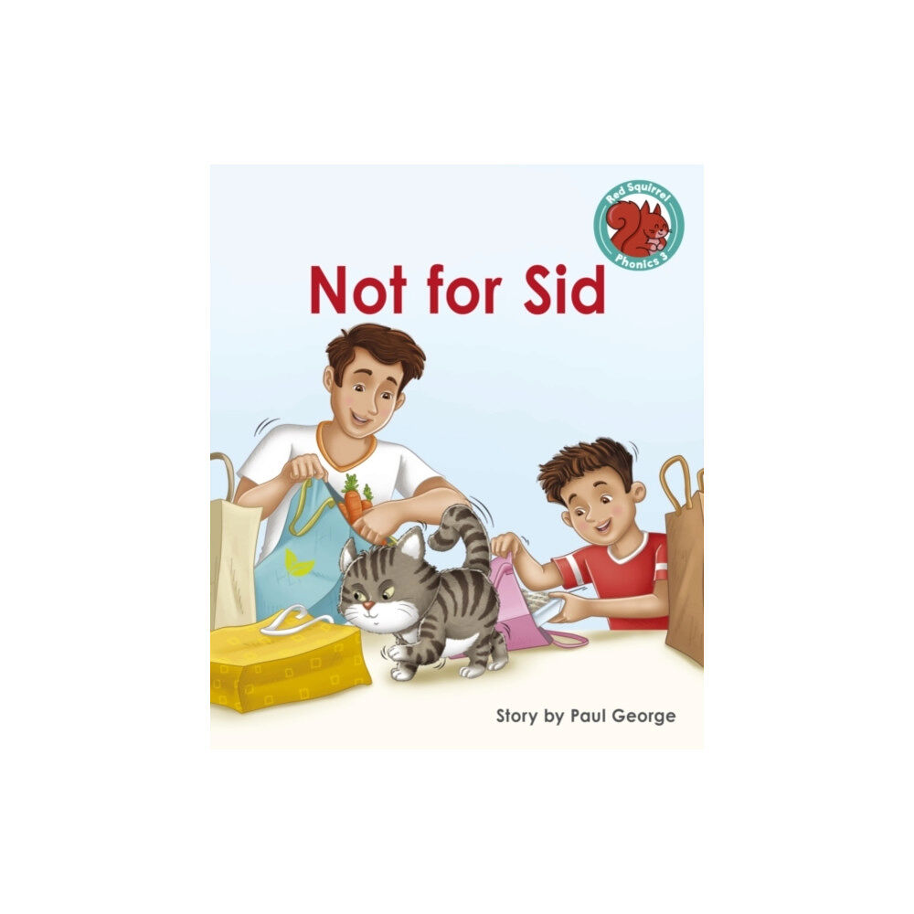 Capstone Global Library Ltd Not for Sid (häftad, eng)