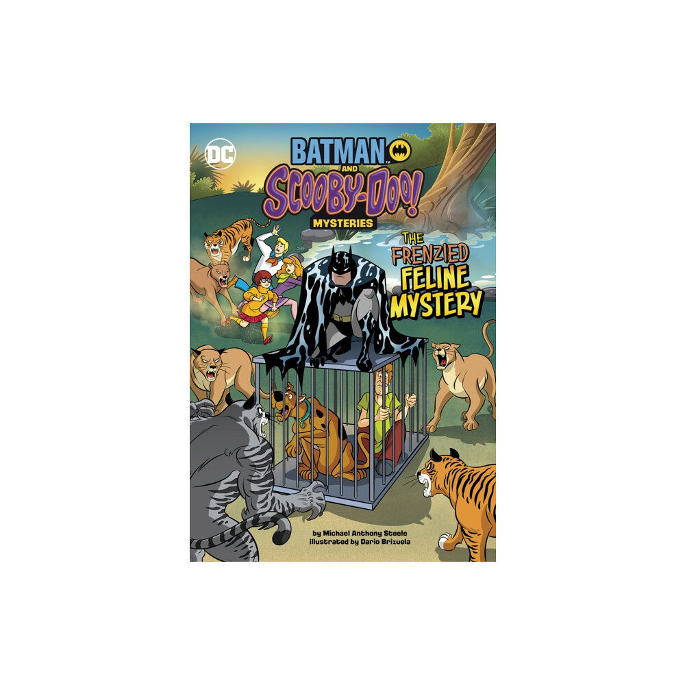 Capstone Global Library Ltd The Frenzied Feline Mystery (häftad, eng)