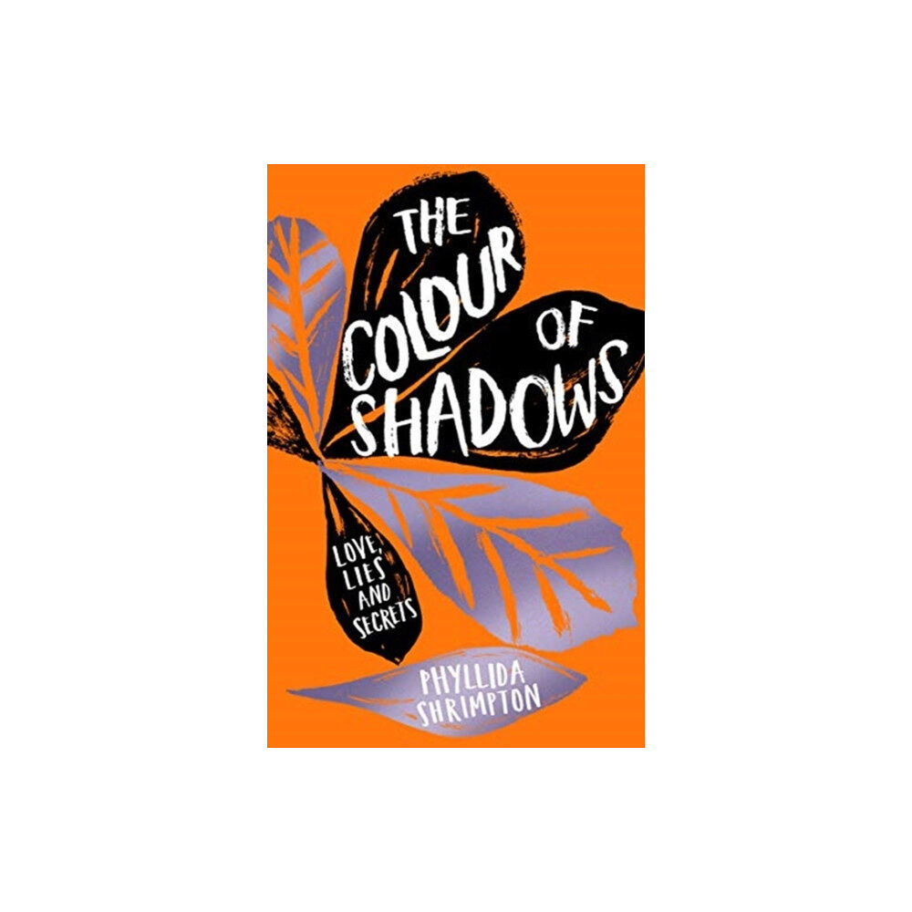 Hot Key Books The Colour of Shadows (häftad, eng)