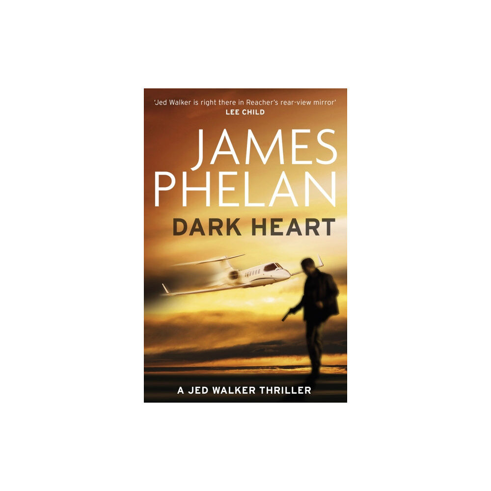 Little, Brown Book Group Dark Heart (häftad, eng)