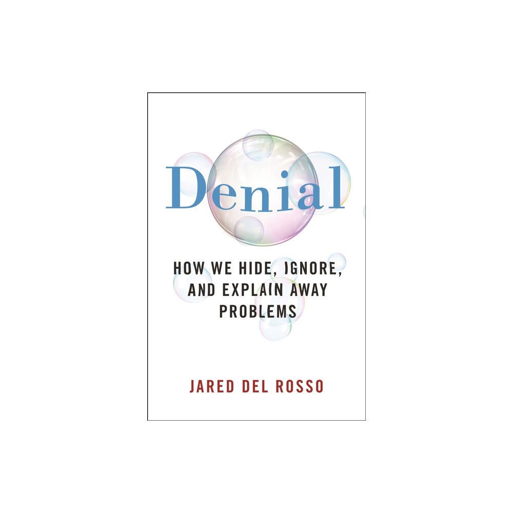 New York University Press Denial (häftad, eng)