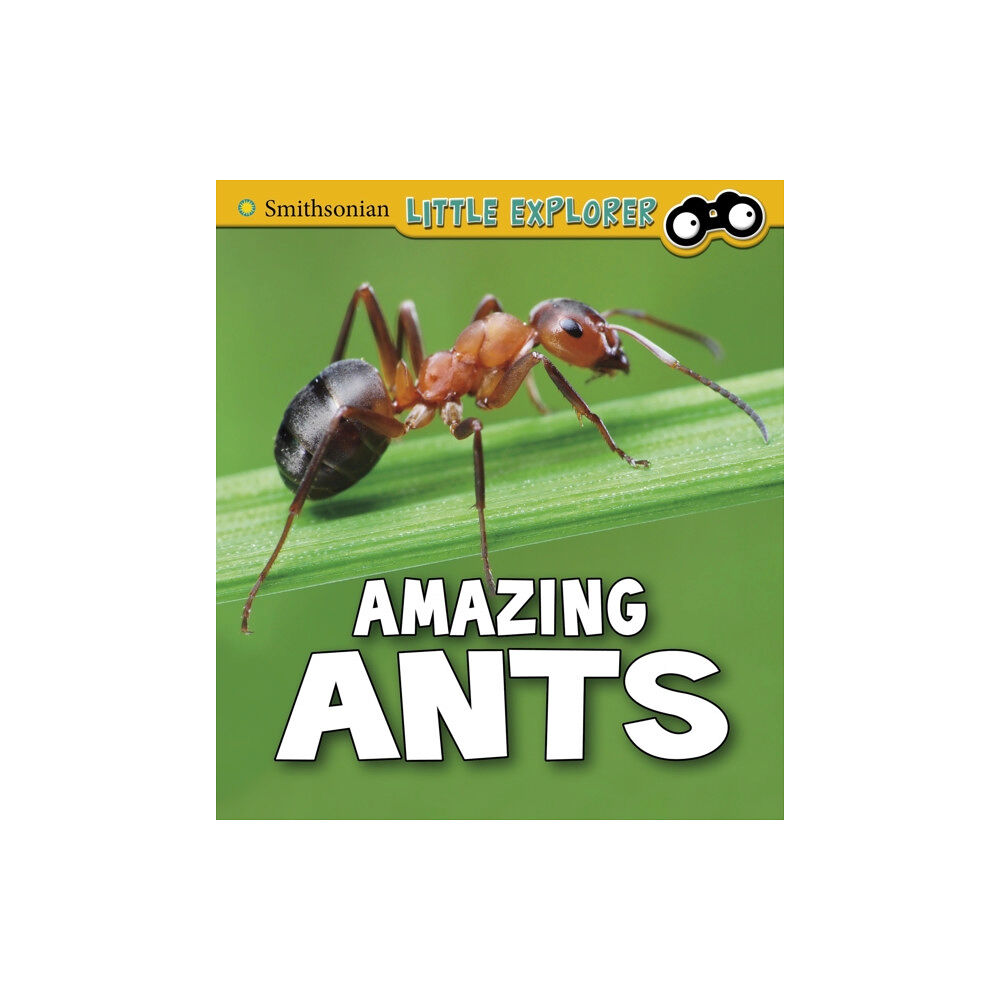 Capstone Global Library Ltd Amazing Ants (häftad, eng)