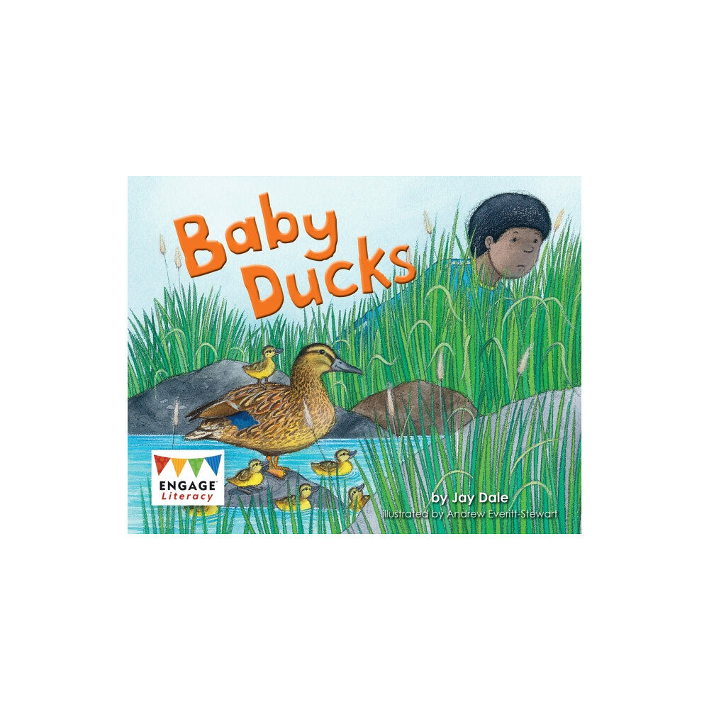 Capstone Global Library Ltd Baby Ducks (häftad, eng)