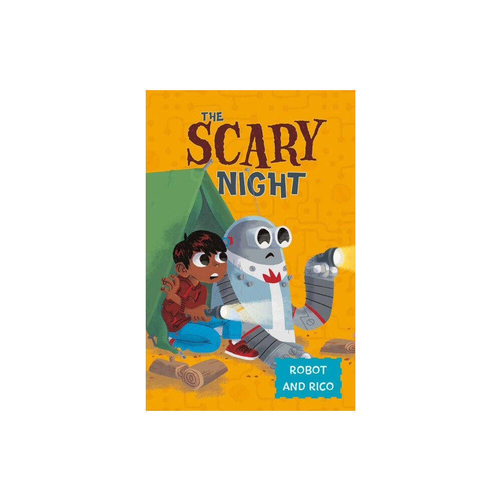 Capstone Global Library Ltd The Scary Night (häftad, eng)