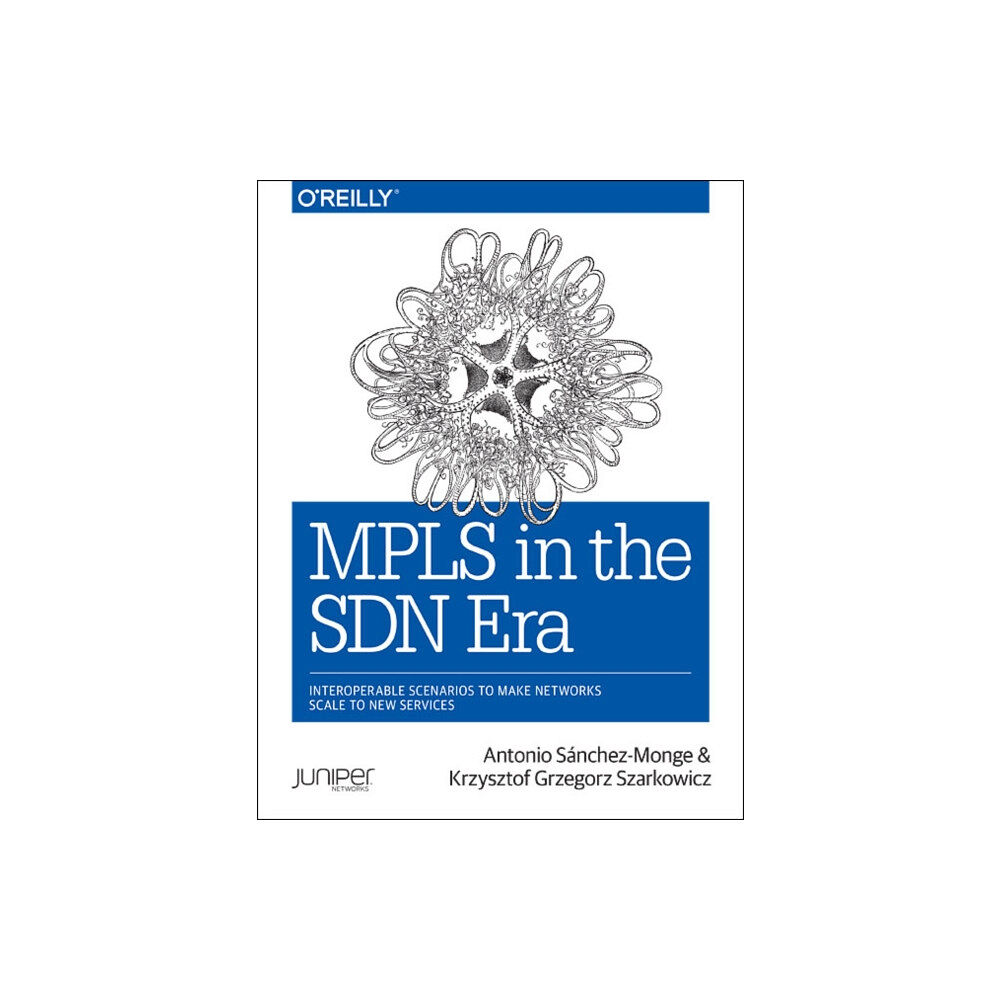 O'Reilly Media MPLS in the SDN Era (häftad, eng)