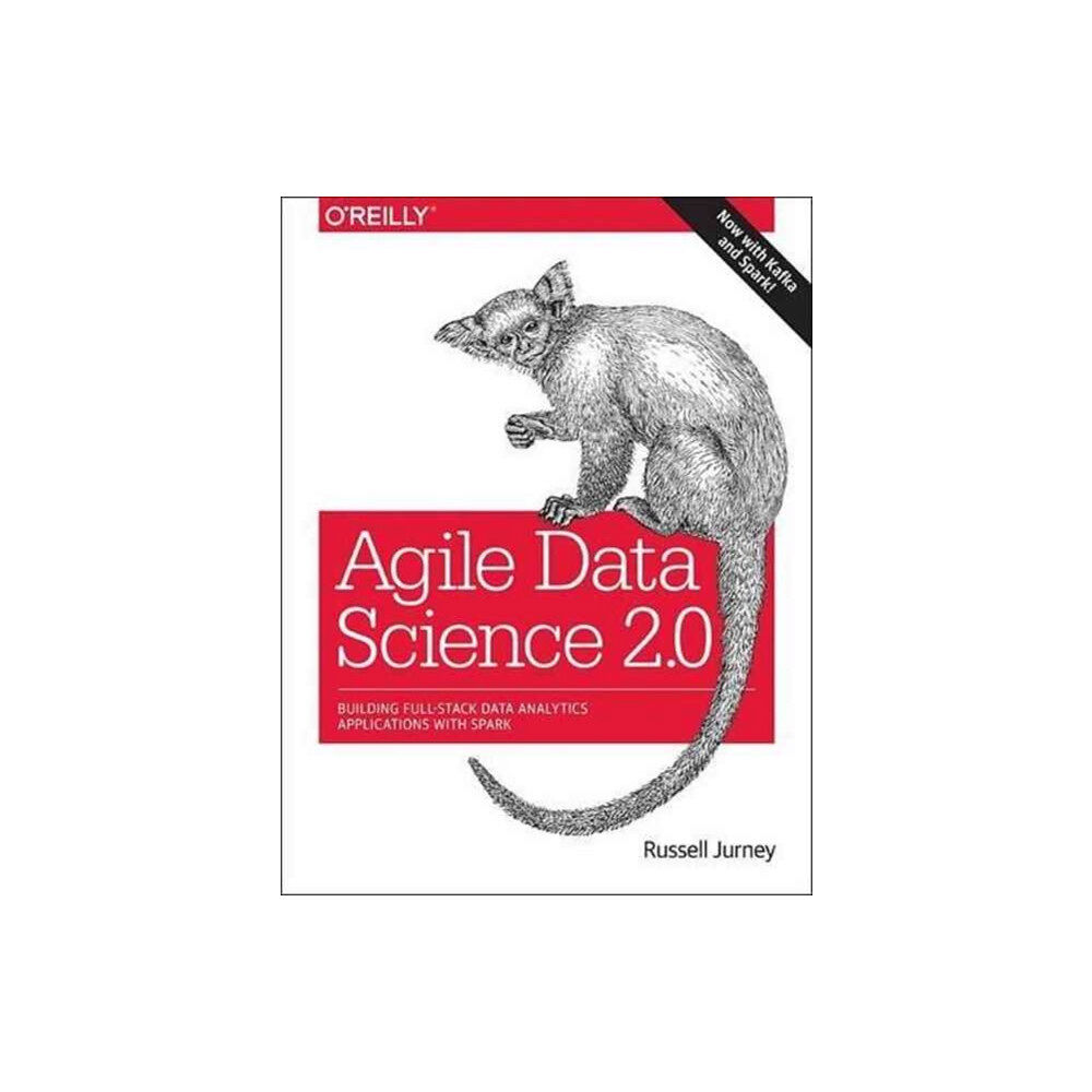 O'Reilly Media Agile Data Science 2.0 (häftad, eng)