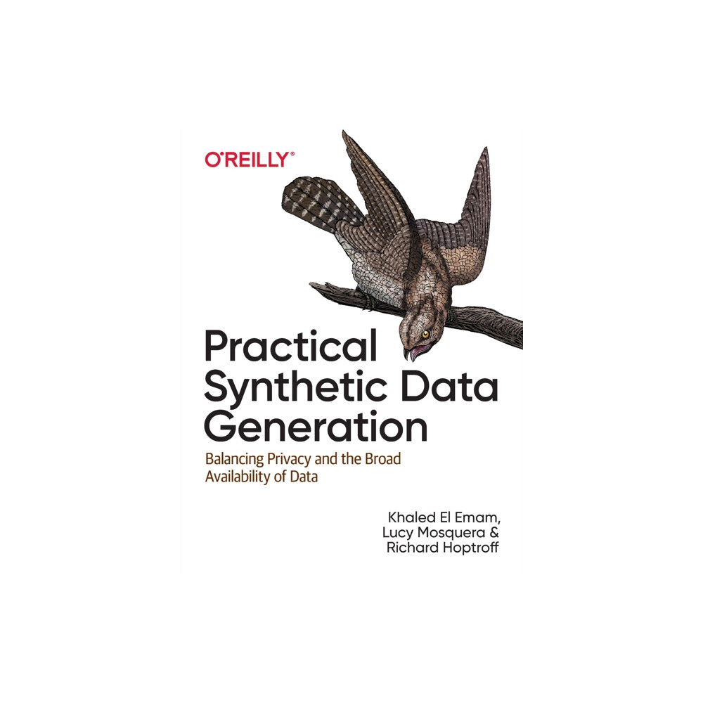 O'Reilly Media Practical Synthetic Data Generation (häftad, eng)