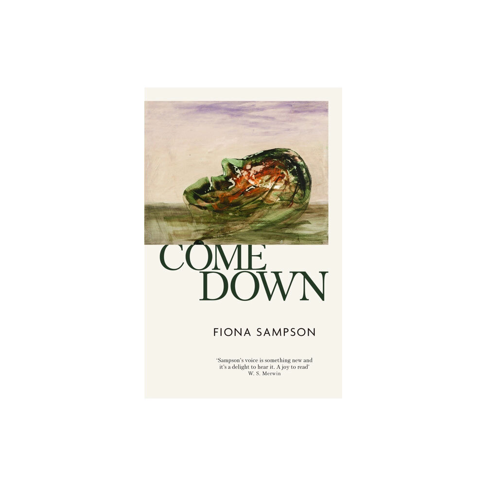 Little, Brown Book Group Come Down (häftad, eng)