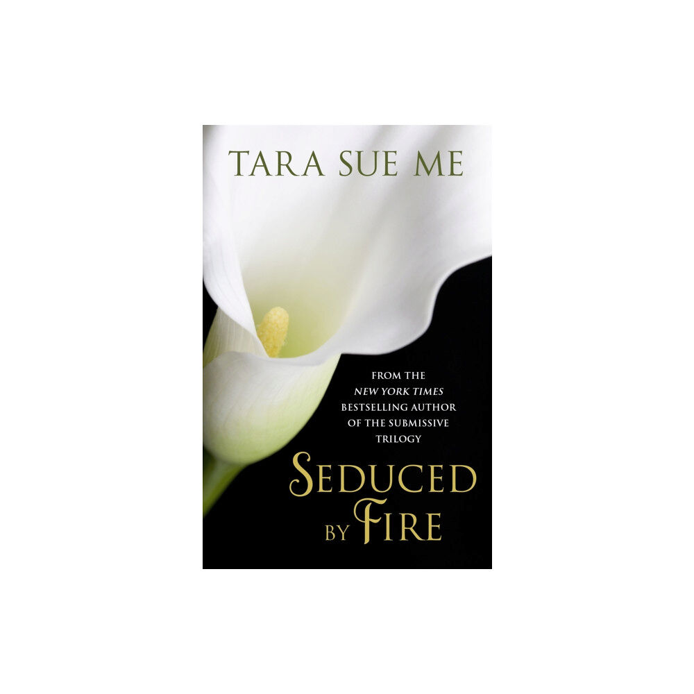 Headline Publishing Group Seduced By Fire: A Partners In Play Novel (häftad, eng)