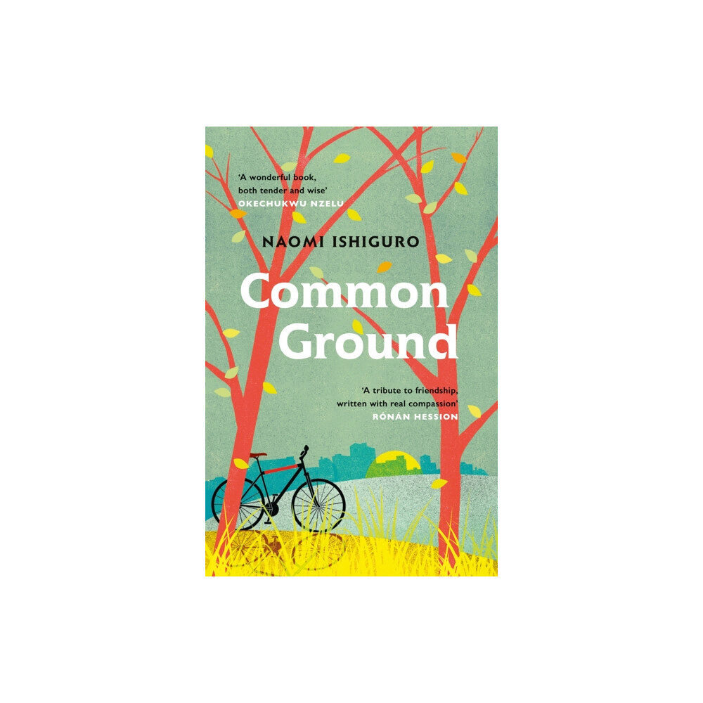 Headline Publishing Group Common Ground (häftad, eng)