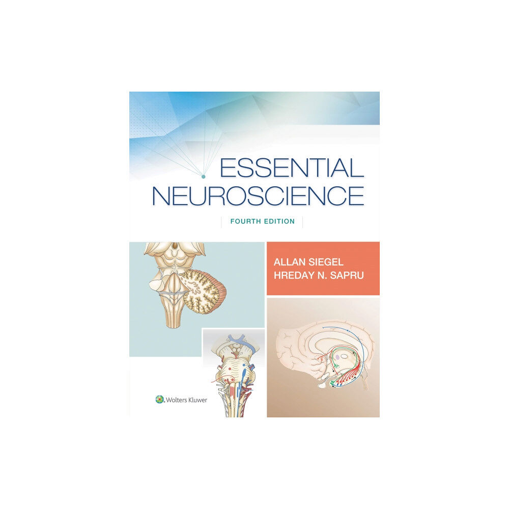 Lippincott Williams and Wilkins Essential Neuroscience (häftad, eng)